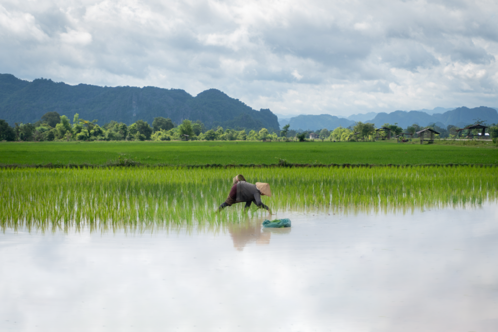 Thakhek, Laos - 2025