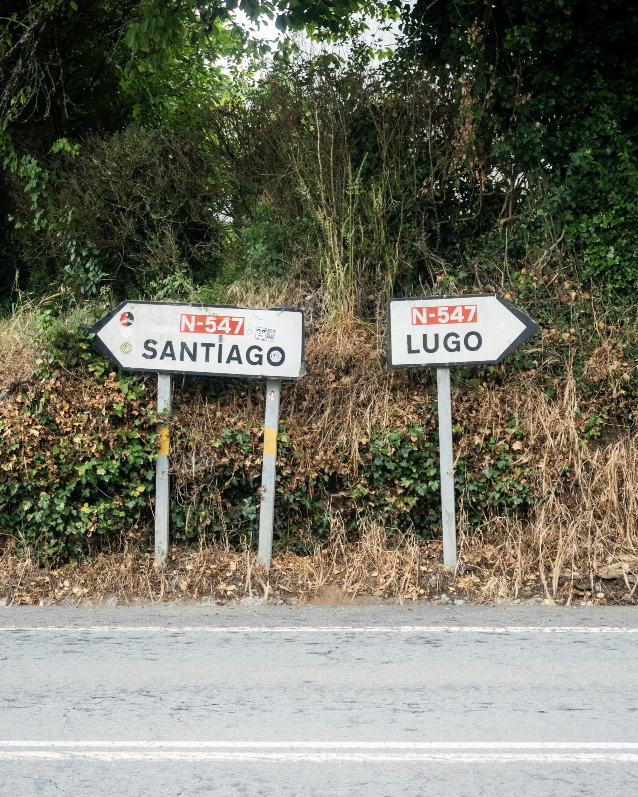 copia de dsc00552