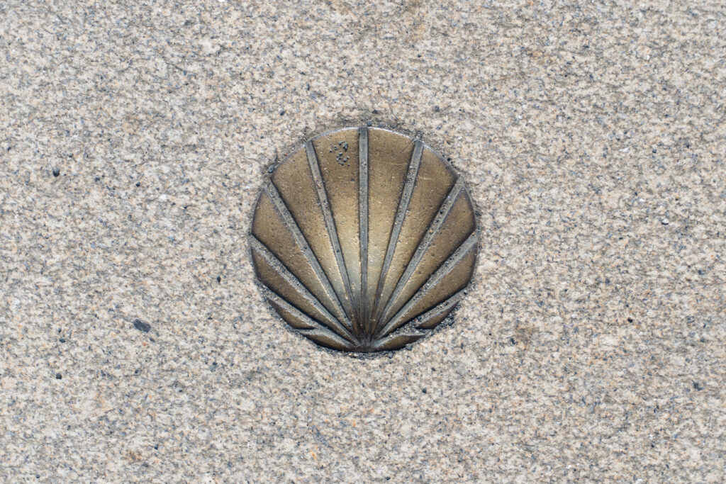 dsc00543