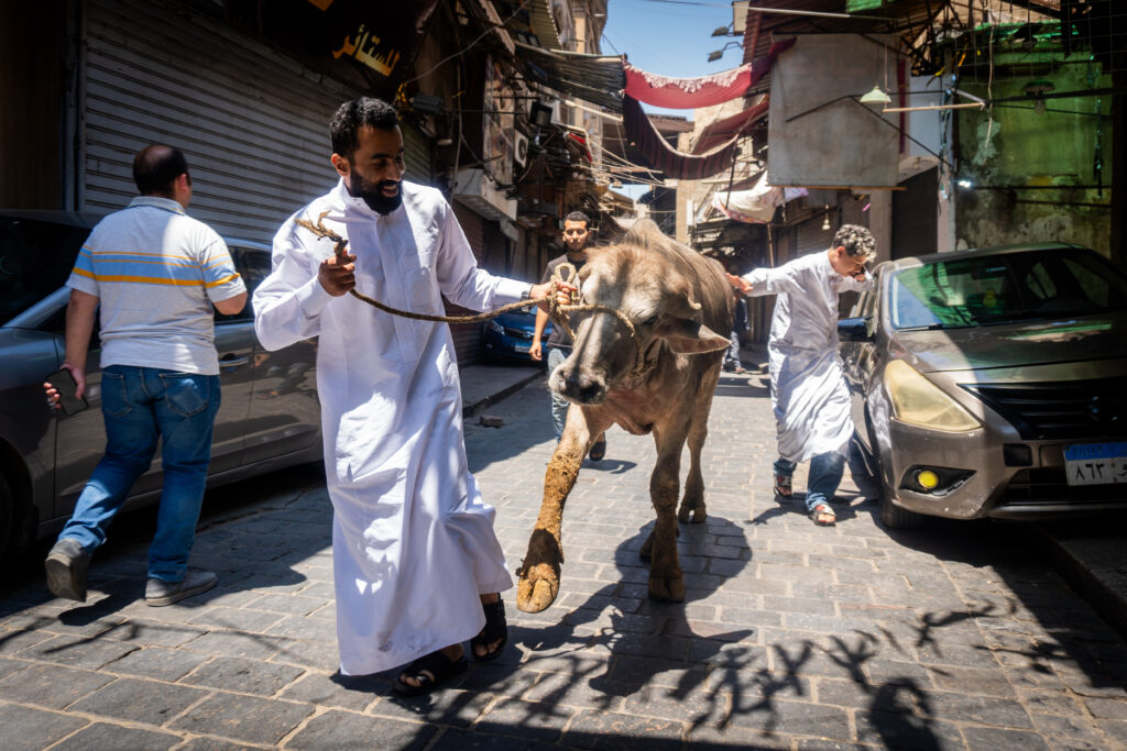 Cairo, Egipto - 2026