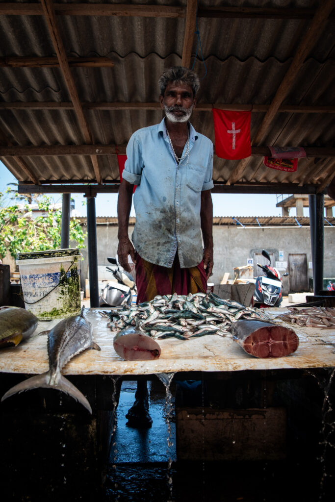 Negombo, Sri Lanka - 2025