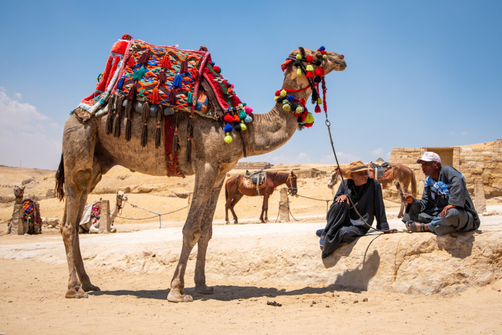Giza, Egipto - 2026